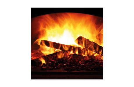 Häussler Holzbackofen Feuer