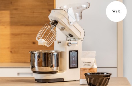 Haeussler-Teigknetmaschine-Nova-33