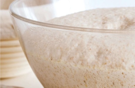 Haeussler-Teigknetmaschine-Nova-25